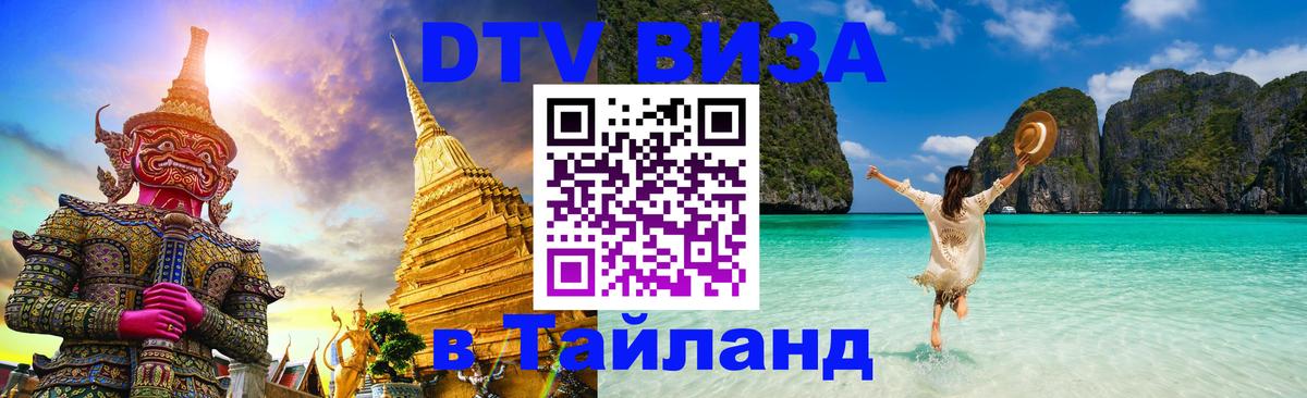 Сколько стоит DTV виза — актуальные цены, оформление даже без документов - Новый Уренгой 